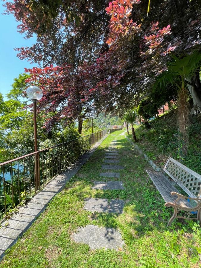 Bed & Breakfast Angelina Cannero Riviera